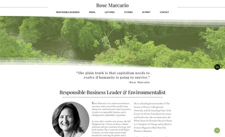 Rose Marcario: Climate Action website project for former Patagonia CEO, Rose Marcario. Created in Classic Wix editor.