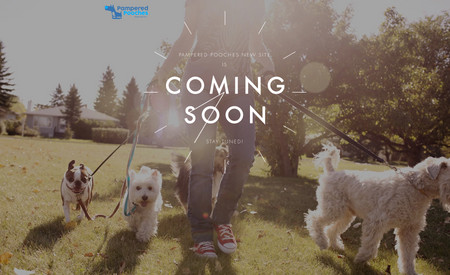 pamperedpooches: New website for an awesome client!
