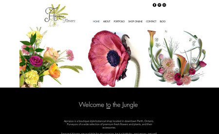Apropos Florist: This trendy florist wanted a website that would help it stand apart from the other more traditional flower shops in town. Working with the florists stunning photography of her bouquets and plants, we created a site that is fun and funky, showing off her creativity and out of the box floral designs. 