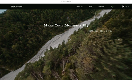 Sky-Drones shop: Website design for drone shop
