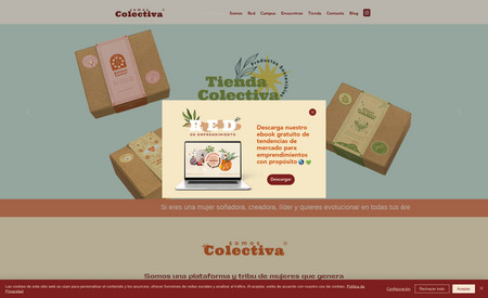 Somos Colectiva®: Design and Development
