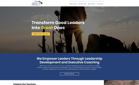 Third Opinion Partners: Designed a Logo and corporate website for a leadership company