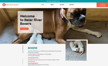 Beierriverboxers: I have design this complete website including logo and all pages