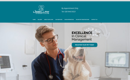 Lisbellaw Vets: Veterinary clinic website highlighting the specialised services on offer.