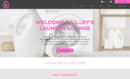 LADY'SLaundryLounge: Customer wanted anice site created for her Laundry business utilizing her colors and wanted online bookings. Created site and she was extremely happy