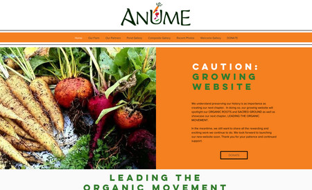 Anume Foundation: Caution: Growing Website
Maintaining a digital presence while site is under construction.