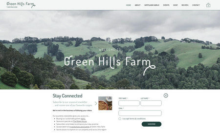 Green Hills Farm: This incredible brand features 3 sub-brands so the main aim of this site was to showcase Green Hills Farm and all of it's offerings. The site was built on the classic Wix Editor.