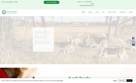 Kand Beagles: Complete Redesign &amp; SEO