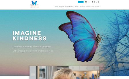 Imaginal Ventures: Website Design