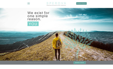 Sperova: Wayne had a vision for his website and wanted a clean, simple look.