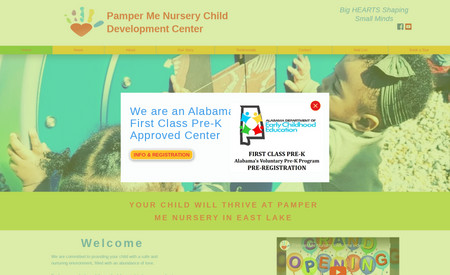 Pamper Me Nursery: In addition to helping design the website, I helped create the logo. It's simple but impactful.