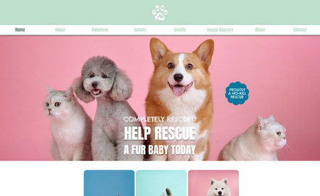 Completely Rescue: Absolutely love the vision of this brand.. So much colour, so much fun!
I covered everything for this website, including copywriting and taglines...