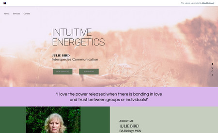 Intuitive Energetics: Redesign of the existing site, including new color palette, site layout, written copy, images, and responsive design for mobile phones.