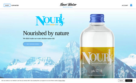 Nouri Water: Developed website from scratch.