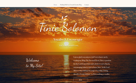 I Am Tinie Solomon: Help connect a domain and fixed up the website and added some things to the client's liking!