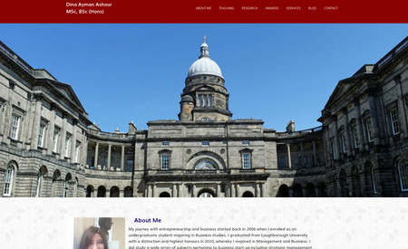 Dina Ayman: Website Redesigning