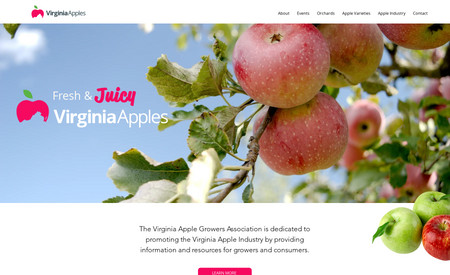 Virginia Apples: Custom, advanced website design for the Virginia Apple Industry. This project was a complete rebrand with a new logo, color scheme, and fresh design.