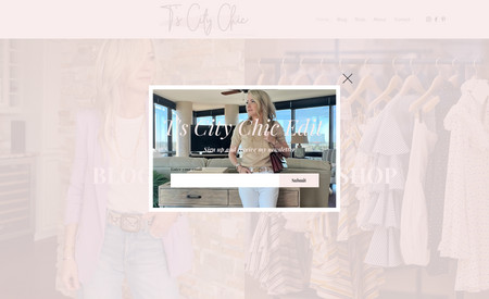 T's City Chic: We designed out an influencer site with a blog feature. Show casing outfits, her, and everything landing to her affiliate links/social media.