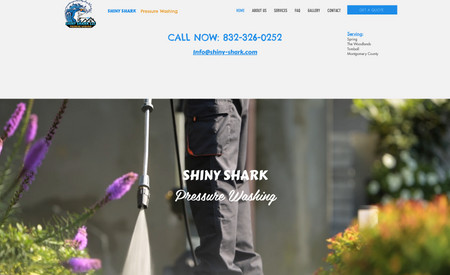 Shiny Shark: Design and build of site.