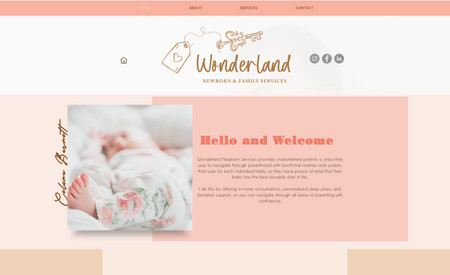 Wonderland Newborn : Custom Design website, SEO, Automations, GA4, Console, and Tags Social Media 