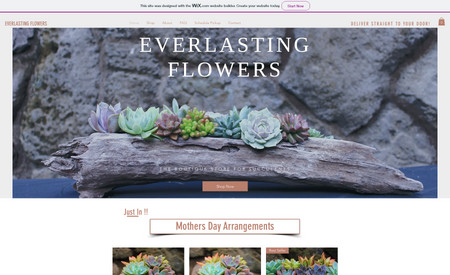 everlastingflowers: 