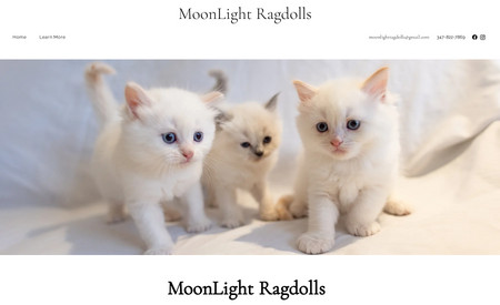 MoonLight Ragdolls: In this project, I've implemented the most refined design and functionalities to date for this pet care website. Additionally, it includes essential features such as Payment Method integration, Service Setup, Product Upload capability, a seamless Checkout Process, meticulous SEO optimization, and enhanced Speed Optimization.