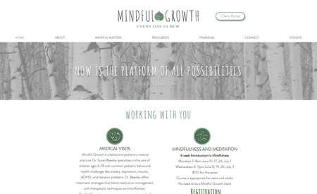Mindful Growth: As Mindful Growth was pivoting from pediatrics to mental healthcare, we created new branding and marketing materials, along with a website to engage new patients and convey valuable resources for patients and their families. 
