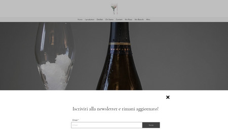 Terra&Vino: Wine Agent.
Sito web e contenuti completamente realizzati da Orpheus Team.