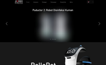 Pudu Robotics: undefined