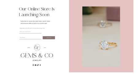 Gems & Co Jewelry: This was an e-commerce website design package we completed for an online engagement ring shop! You can check out their shop at this link → www.gemsandcojewelry.com/shop 
