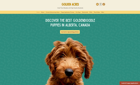Golden Acres Dog Breeding: Website Redesign | On-Page Optimization