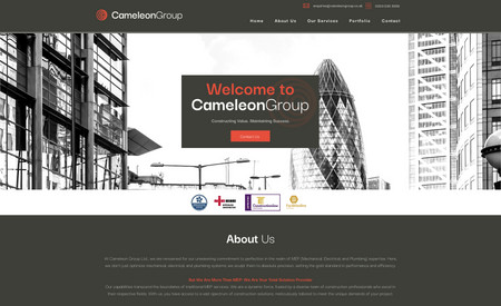 Cameleon Group Ltd: undefined
