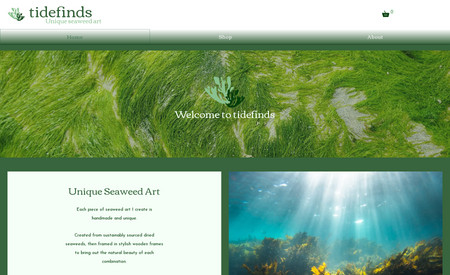 Tide Finds Seaweed Art: Complete redesign of Wix website with basic SEO setup and logo design