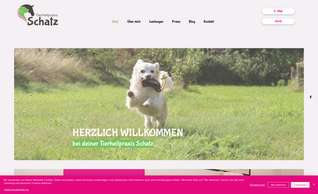 Tierheilpraxis Schatz: Logodesign, Farbkonzept, Webdesign, Suchmaschinenoptimierung.
Integration Buchungen