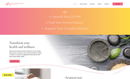 Lotus Valley Acupunc: This client used a custom designed FH Design Template with modifications to match her business and industry for a quick and affordable website.
