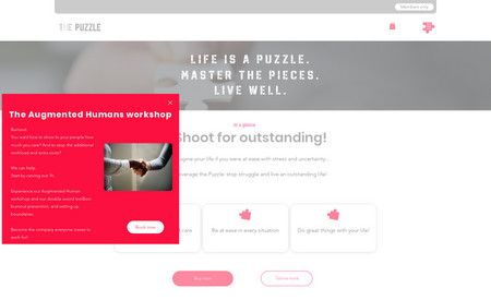 The Puzzle: EditorX, WiX Velo, WiX Bookings, CMS, WiX Pricing Plans, 100% Custom Design