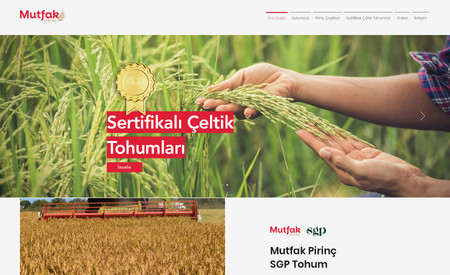 Mutfak Pirinç: Tarım ürünlerinin web sitesi