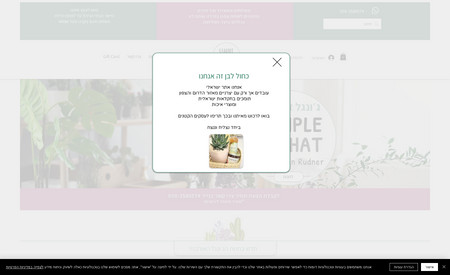 הג׳נגל האורבני: אפיון, עיצוב ובניית חנות וירטואלית למכירה צמחים ועציצים עבור קארן רודנר