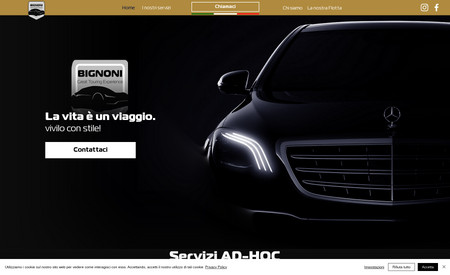 Bignoni GTE: NOLEGGIO CON CONDUCENTE 
Realizzazione Sito Web, SEO di base, studio del logo e brand identity.