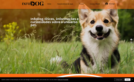 Infodog: Redesign Visual Layout