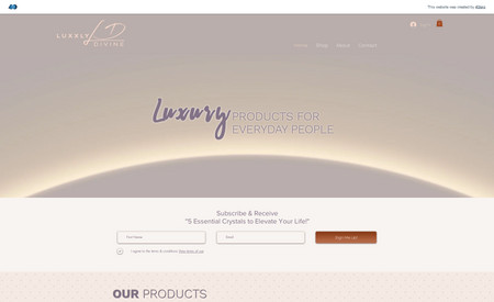Luxxly Divine: • Total Branding - Logo, Colors, Fonts, Branding Board
• Website Messaging
• E-commerce Website Design