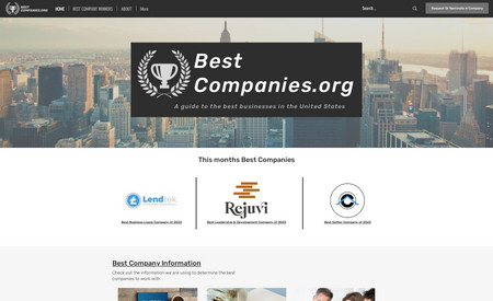 Best-Companies.org: Site Development