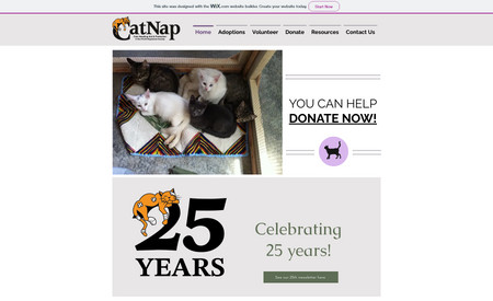 catnapsociety: The website needed to be updated for mobile responsiveness, accessibility, and lead flow. 