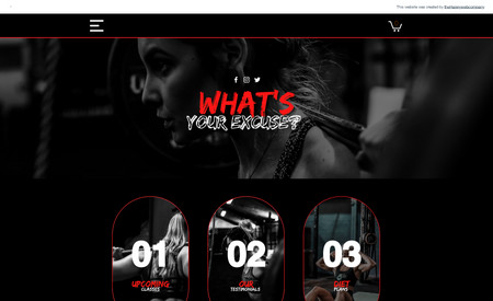 whatsyourexcuse: Custom Fitness website with full booking system.