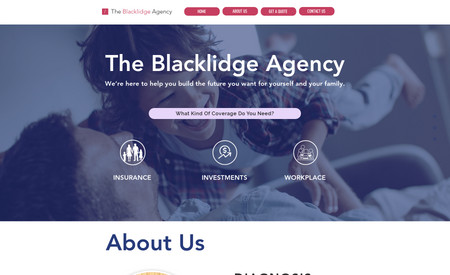 Blacklidge: We developed this site and also do the paid social media advertising for them. It includes advanced automations for leads delivery and client communications.