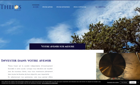 Theios Invest: Création de site vitrine et customisation de formulaire d'audit