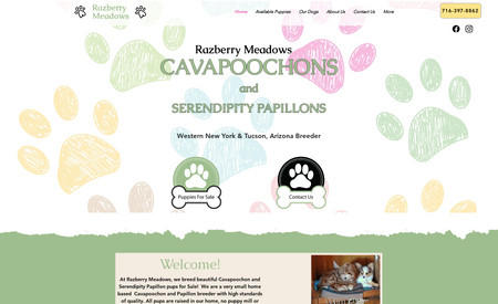 Razberry Meadows: This was a redesign from an old website for Razberry Meadows, they are breeders of Cavapoochon and AKC Papillon Puppies located in Western New York and Tucson, Arizona