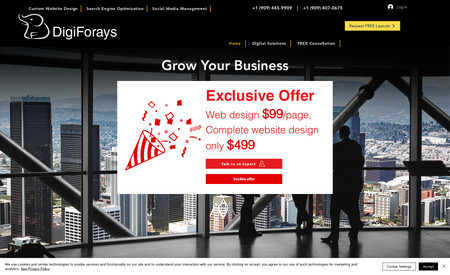 DigiForays: I designed the website from scratch. It is my website for full stack digital marketing services