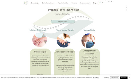 Alice de Jong: An elegant make-over of an existing website for the practise of a Physiotherapist.