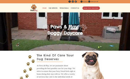 Paws and Play: undefined